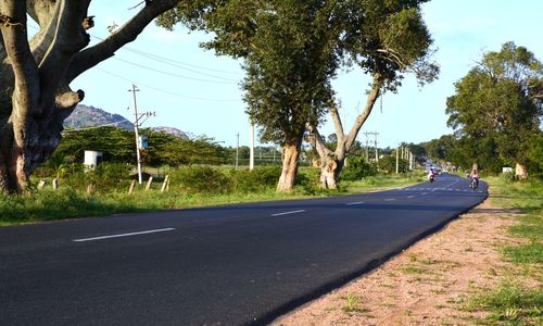 Road passing through trees