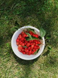 High angle view of strawberries in bowl