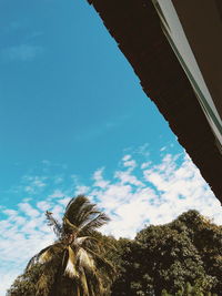 Low angle view of giraffe against blue sky