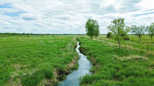 Springtime view of a small stream running through green fields under a cloudy sky