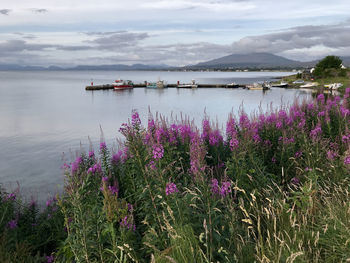 Scenic view of lake against cloudy sky