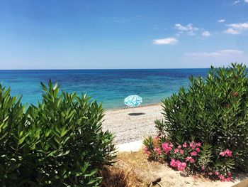 Scenic view of sea against clear blue sky