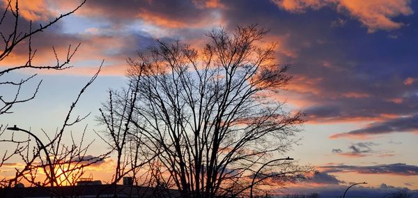Silhouette bare tree against dramatic sky during sunset