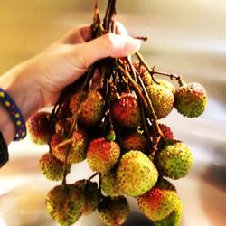 Close-up of hand holding fruits