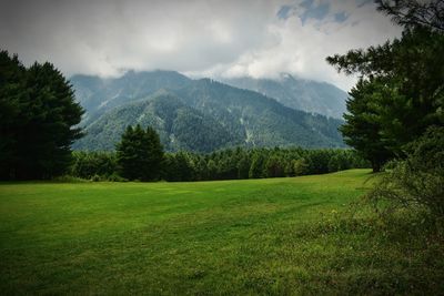 Scenic view of landscape and mountains against sky