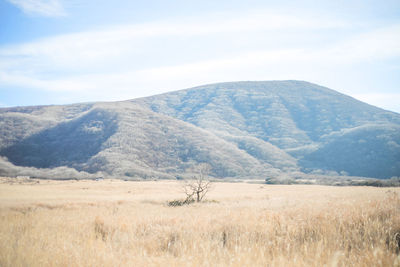 Scenic view of landscape against sky