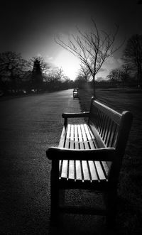 bench