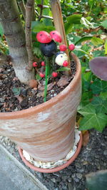 High angle view of potted plant on tree trunk