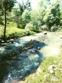 Scenic view of lake