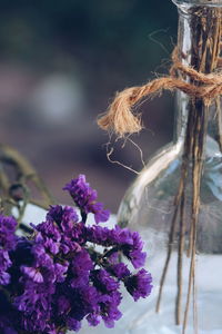 Close-up of purple flowers by glass vase on table