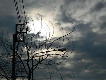 Low angle view of silhouette tree against sky