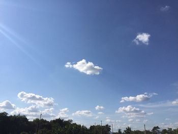 Low angle view of trees against blue sky