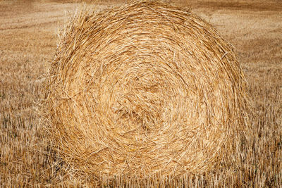 Hay bale on field