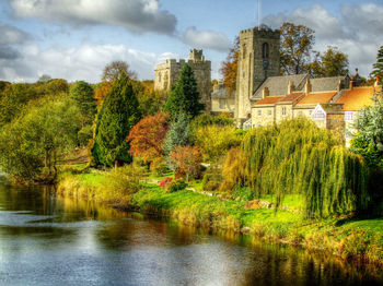 Reflection of trees in water