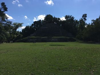 View of trees on landscape against the sky