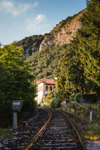 Railroad tracks amidst trees and buildings against sky