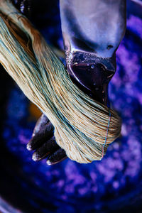 Close-up of fish swimming in sea