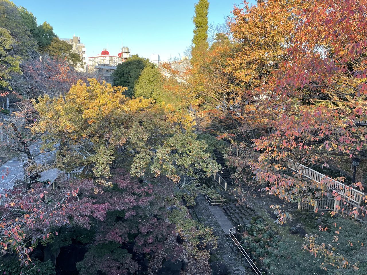 plant, tree, autumn, nature, leaf, beauty in nature, flower, growth, landscape, scenics - nature, no people, sky, land, environment, day, outdoors, tranquility, mountain, plant part, architecture, tranquil scene, travel, maple, travel destinations, orange color