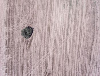 Full frame shot of textured surface