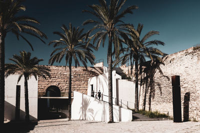 Palm trees by building against sky