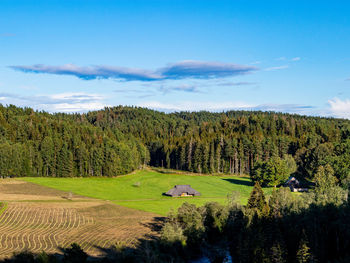 Scenic view of trees on field against sky