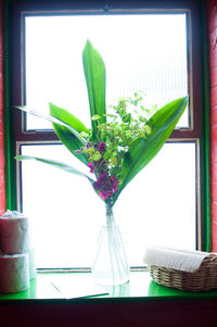 Close-up of vase on window sill at home