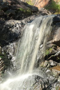 Scenic view of waterfall in forest