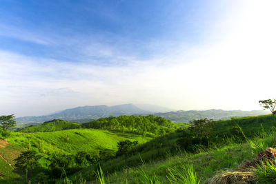 Scenic view of landscape against sky