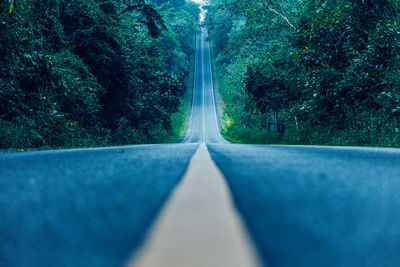 Surface level of road amidst trees in forest