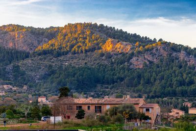 Countryside of sóller, mallorca, spain