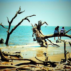 Scenic view of beach against blue sky