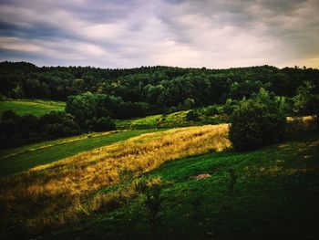 Scenic view of grassy field against sky