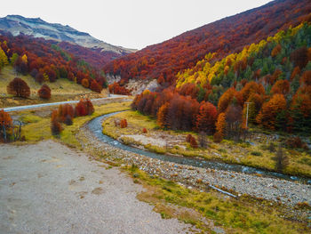 Scenic view of road