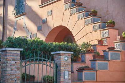 Plants growing outside building