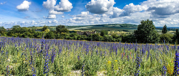 Scenic view of field against cloudy sky