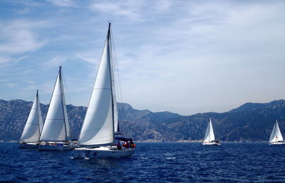 Sailboat sailing on sea against sky