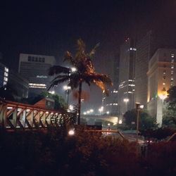 Illuminated street light at night