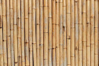 Full frame shot of bamboo fence