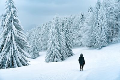 Man walking on snowy road in winter forest