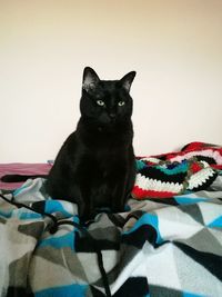 Portrait of black cat