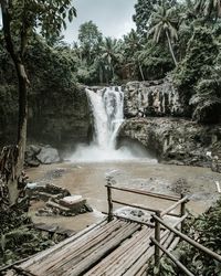 Scenic view of waterfall in forest