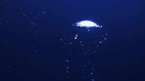 Low angle view of illuminated jellyfish swimming in sea