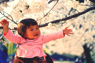 Cute girl reaching for cherry tree branches