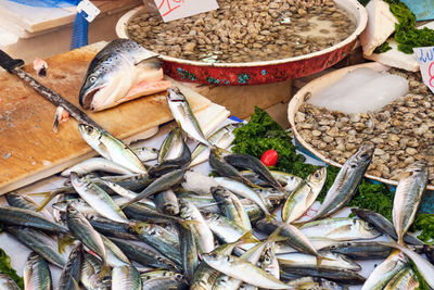 Fish and clams and chopping board seen at a market in naples, italy