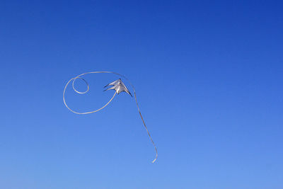 Low angle view of balloons against blue sky