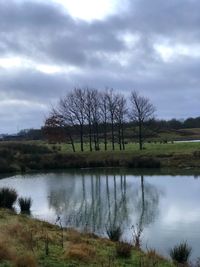 Bare trees by lake against sky