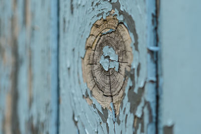 Close-up of rusty metal on tree trunk