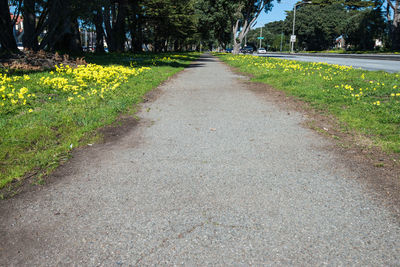 Empty road in park