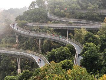 High angle view of footbridge over trees