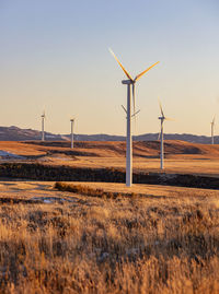 Wind turbines in a field with clear sky